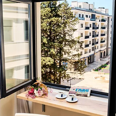 Pine 2 In The Center *