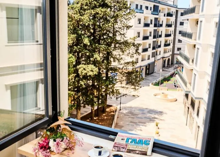 Pine 2 In The Center * تريبينيي